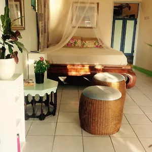 Homestay Magical Garden, Savaneta
